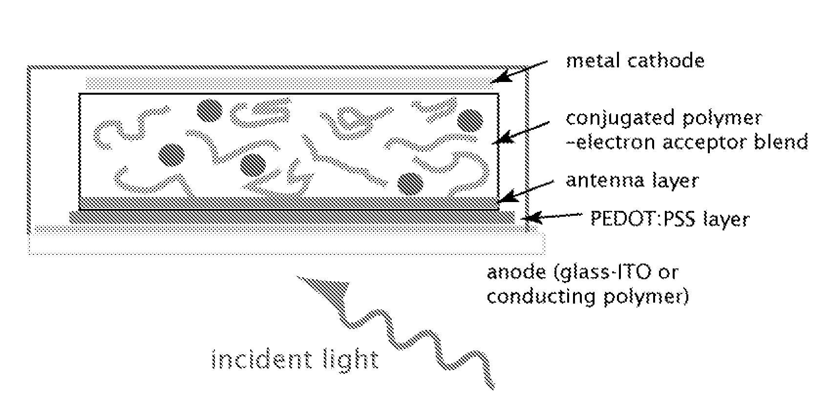 Light-harvesting antennae for organic solar cells