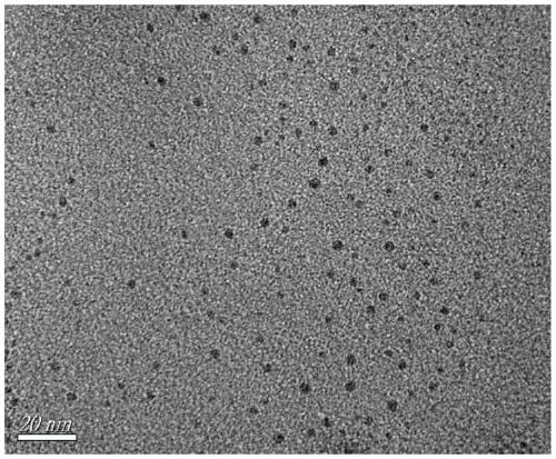 Methoxyfluoroboron pyrrole-nucleic acid-ferric oxide complex and preparation method