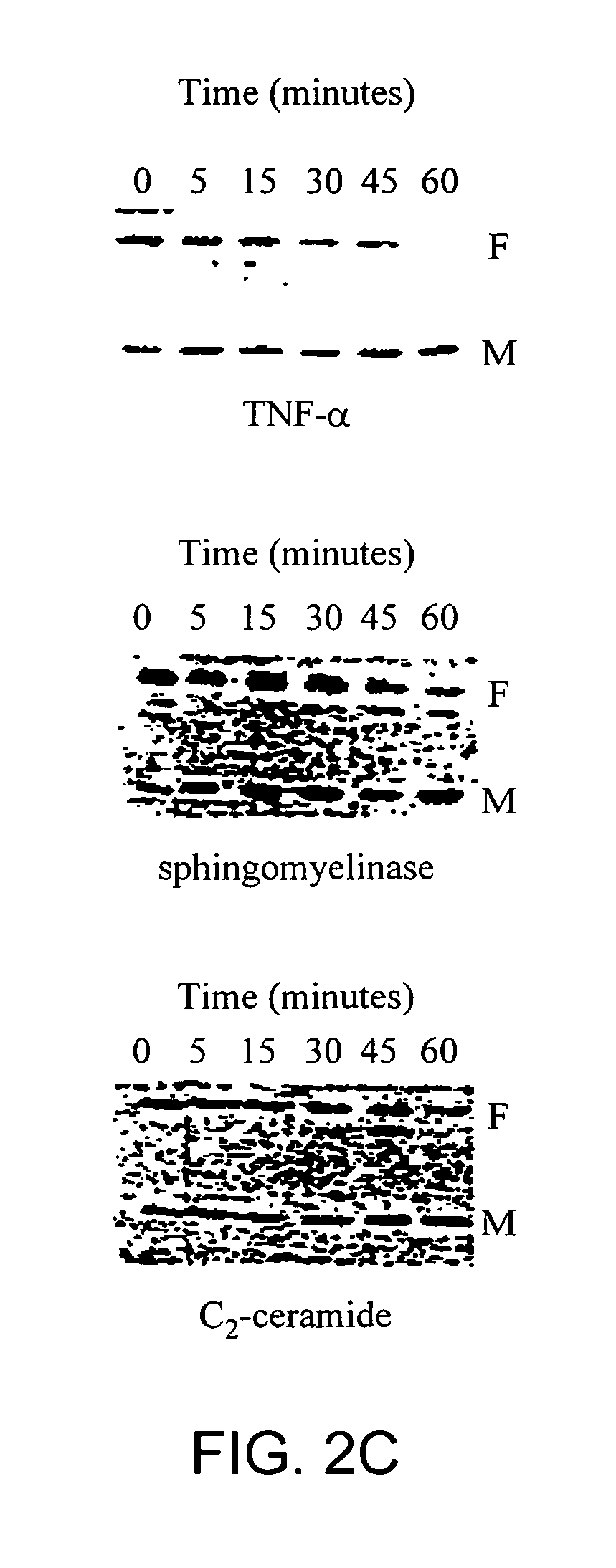 Compositions and methods for modulating serum cholesterol