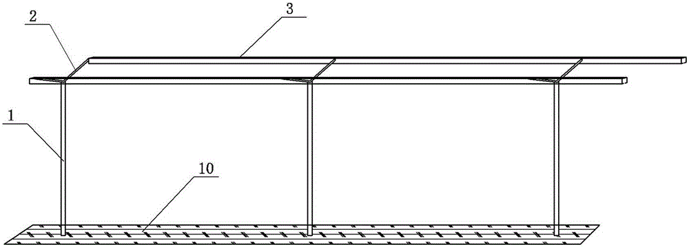 Guide rail type street walking aid system