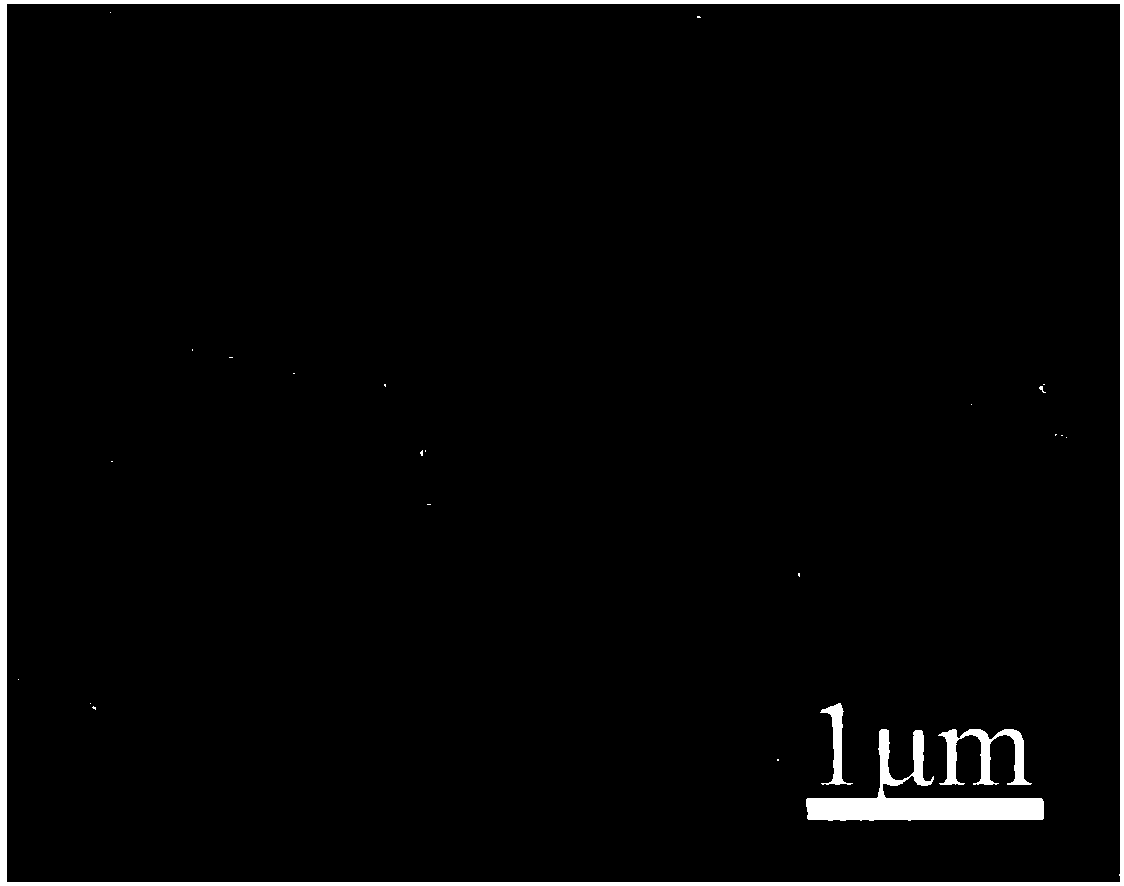 Preparation method of crosslinked nano-cellulose/hexagonal boron nitride nanosheet composite film