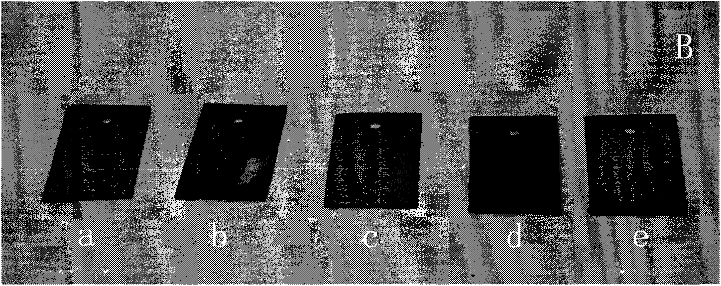 Inhibitor-supported carrier and preparation method and application thereof