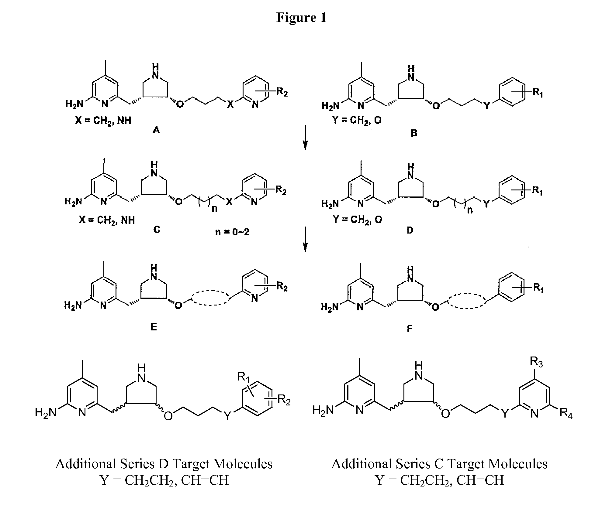 Selective neuronal nitric oxide synthase inhibitors