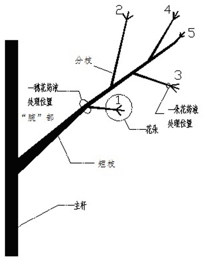 A special artificial pollination device and method for tomatoes