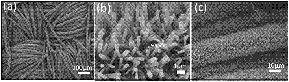 Carbon coated ZnO nanowire, and preparation method and application thereof