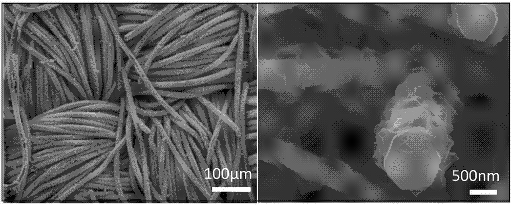 Carbon coated ZnO nanowire, and preparation method and application thereof