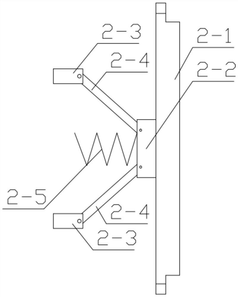 A protective fence device for a road bridge