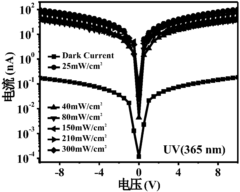 Flexible organic photoelectric detector and preparation method thereof