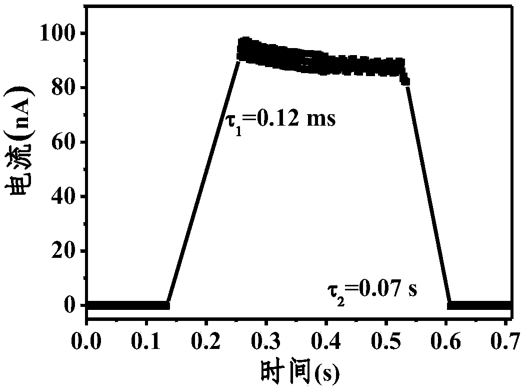 Flexible organic photoelectric detector and preparation method thereof