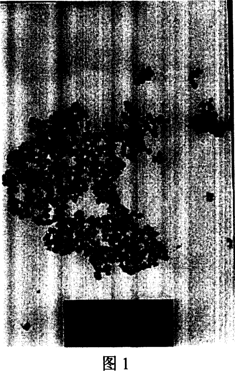 Nanometer elemental selenium coupled with liquid amino acid and the method for preparing and preserving the same