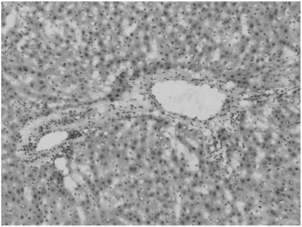 Mercury-free hematoxylin staining fluid