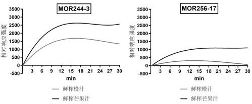 Application of olfactory receptor in identification of 3-methylthio-propionaldehyde and method for detecting 3-methylthio-propionaldehyde