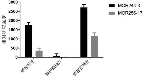 Application of olfactory receptor in identification of 3-methylthio-propionaldehyde and method for detecting 3-methylthio-propionaldehyde