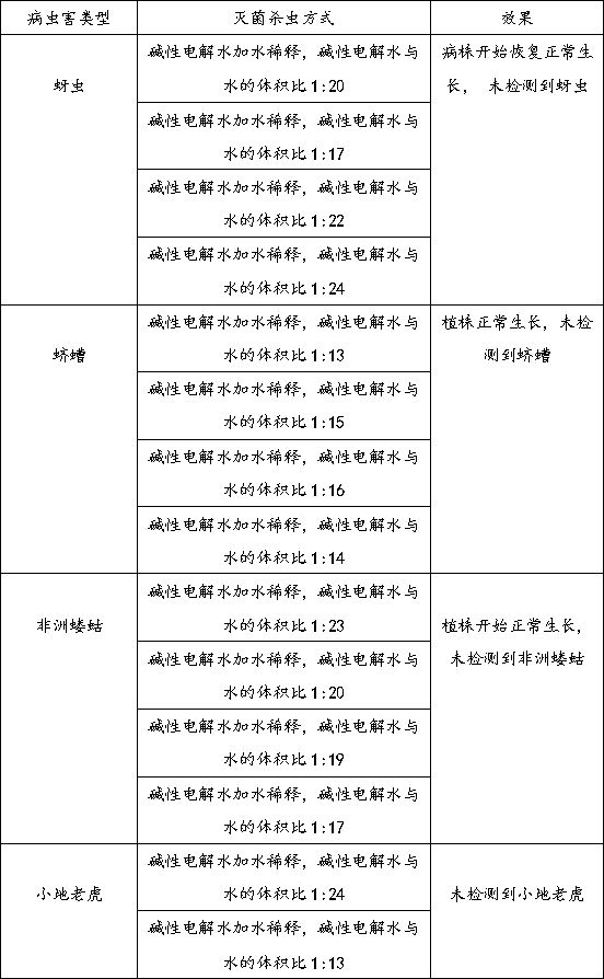 Application of electrolyzed water in sterilization and insect killing of medicinal material planting