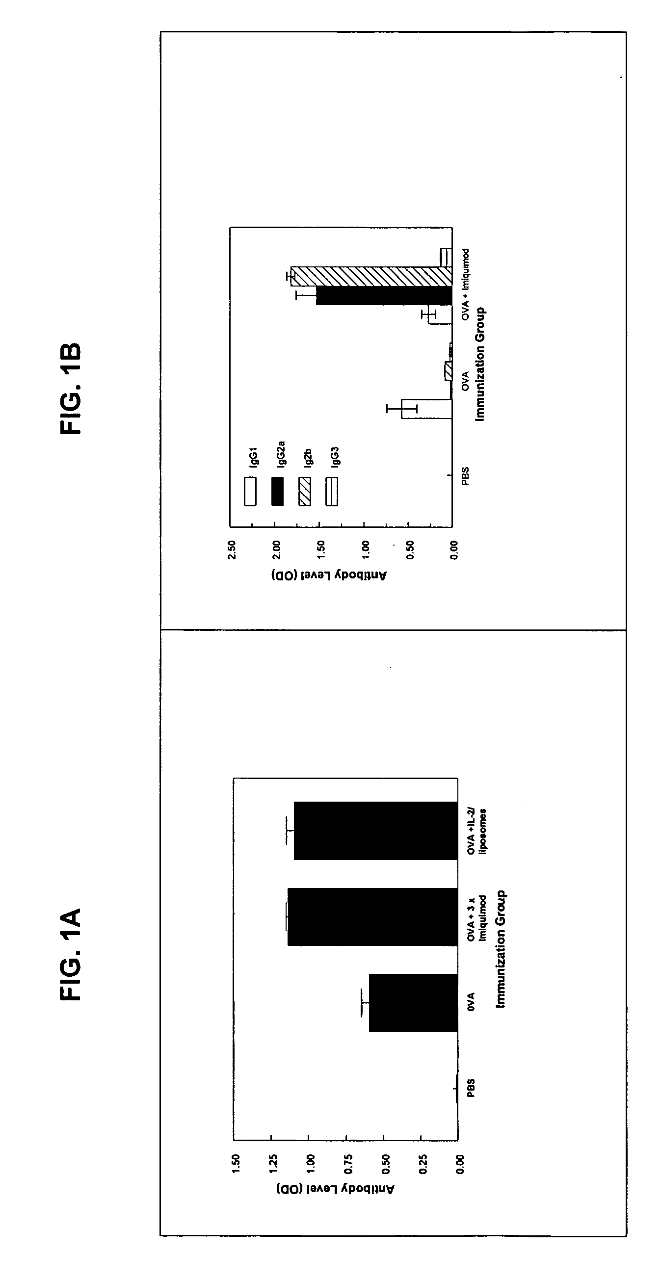 Topical Toll Like Receptor  Ligands as Vaccine Adjuvants