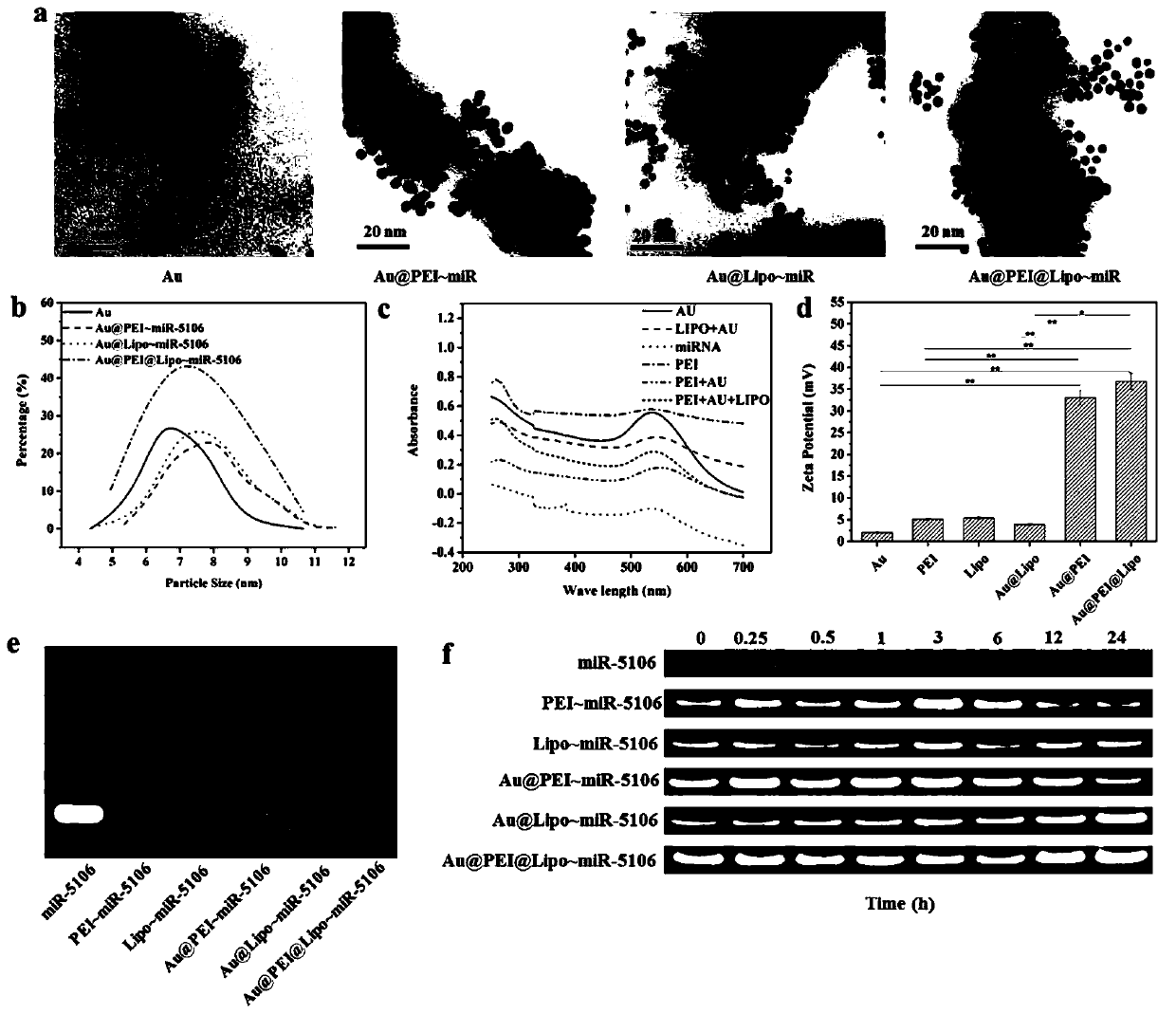 A miRNA delivery carrier based on ultra-small gold nanoparticles and its preparation method and application