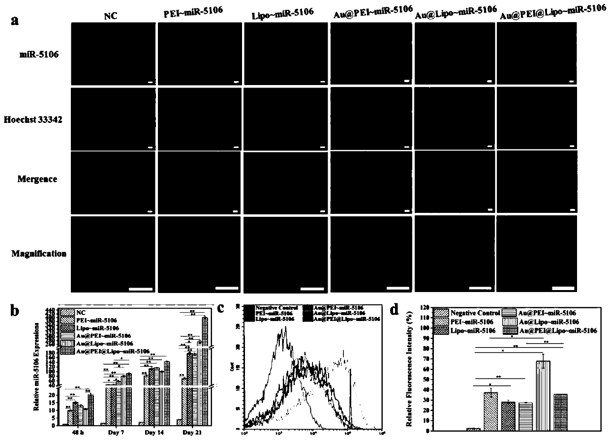 A miRNA delivery carrier based on ultra-small gold nanoparticles and its preparation method and application