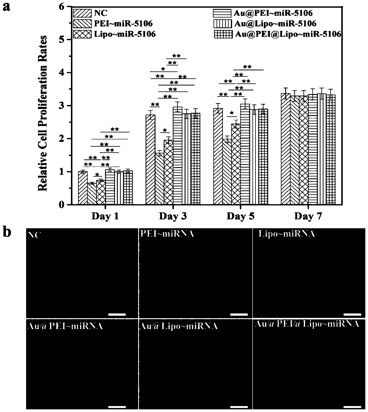 A miRNA delivery carrier based on ultra-small gold nanoparticles and its preparation method and application