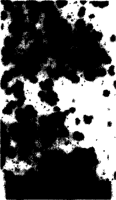 Dolysaccharide nanometer anticancer material and its preparation method