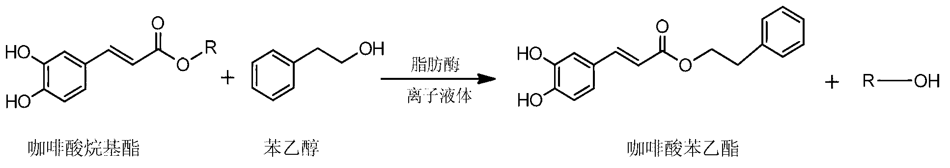 Biosynthesis method of caffeic acid phenethylester by means of transesterification