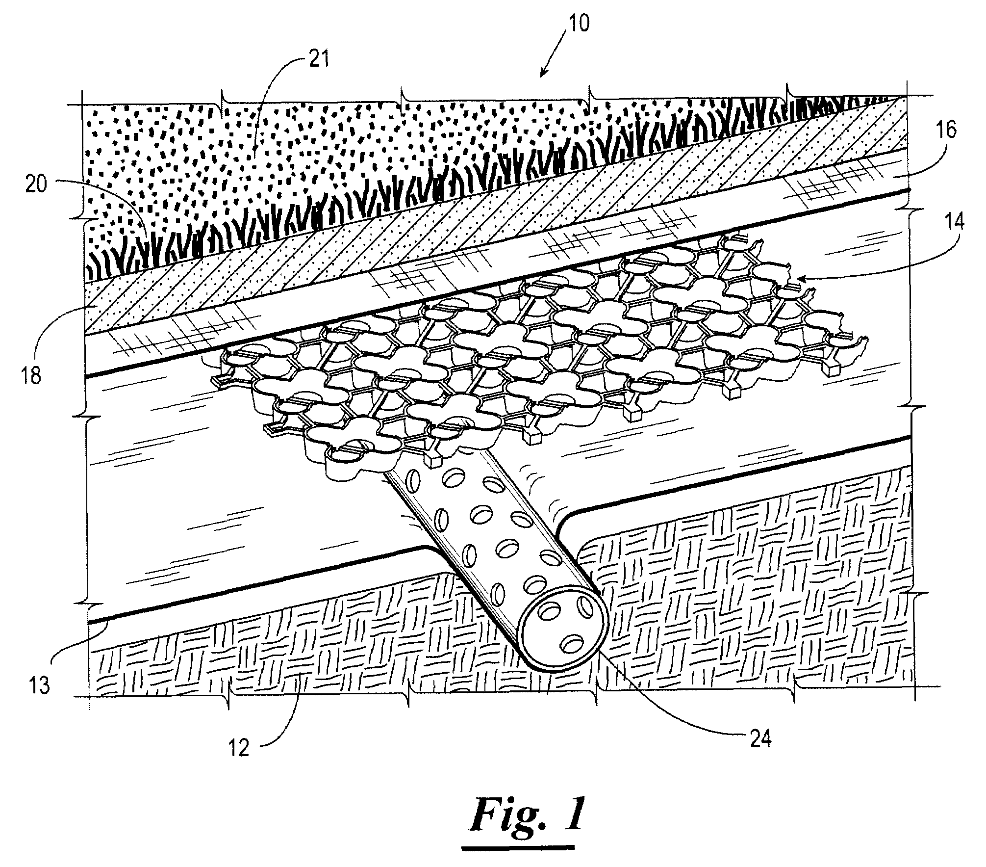 Subsurface drainage system and drain structure therefor