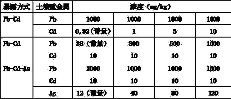 Method for renovating soil suffered from multiple pollution of cadmium, lead and arsenic with ligustrum malongense