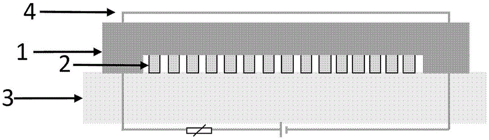 Microfluidic chip and circulating tumor cell capture method using same