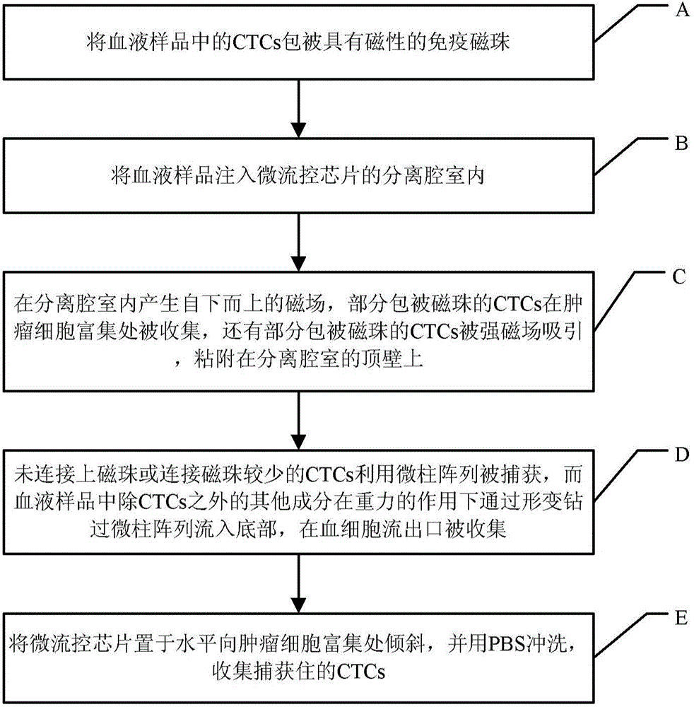 Microfluidic chip and circulating tumor cell capture method using same