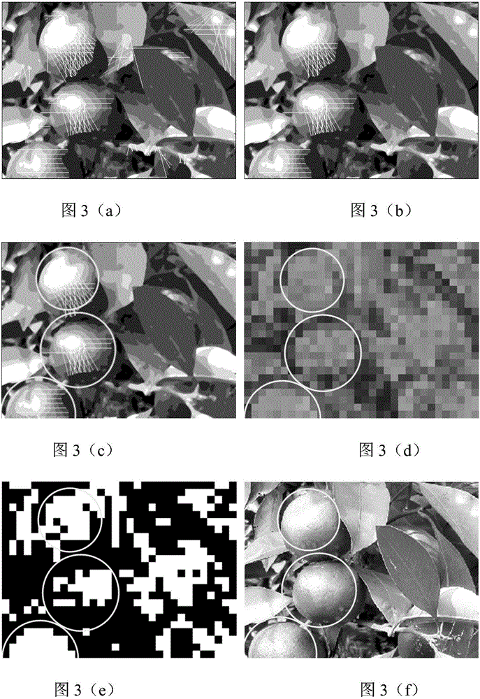 Green fruit recognition method