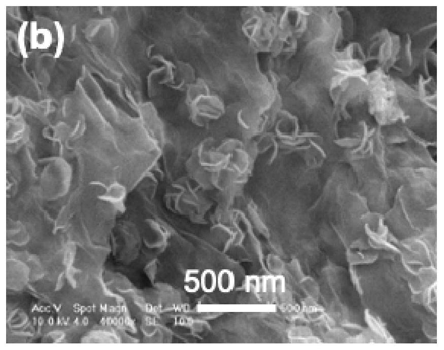 Graphene/MoS2 heterojunction modified graphite felt electrode material and application thereof