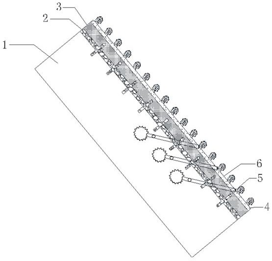 Soft rock slope ecological protection structure and construction method thereof