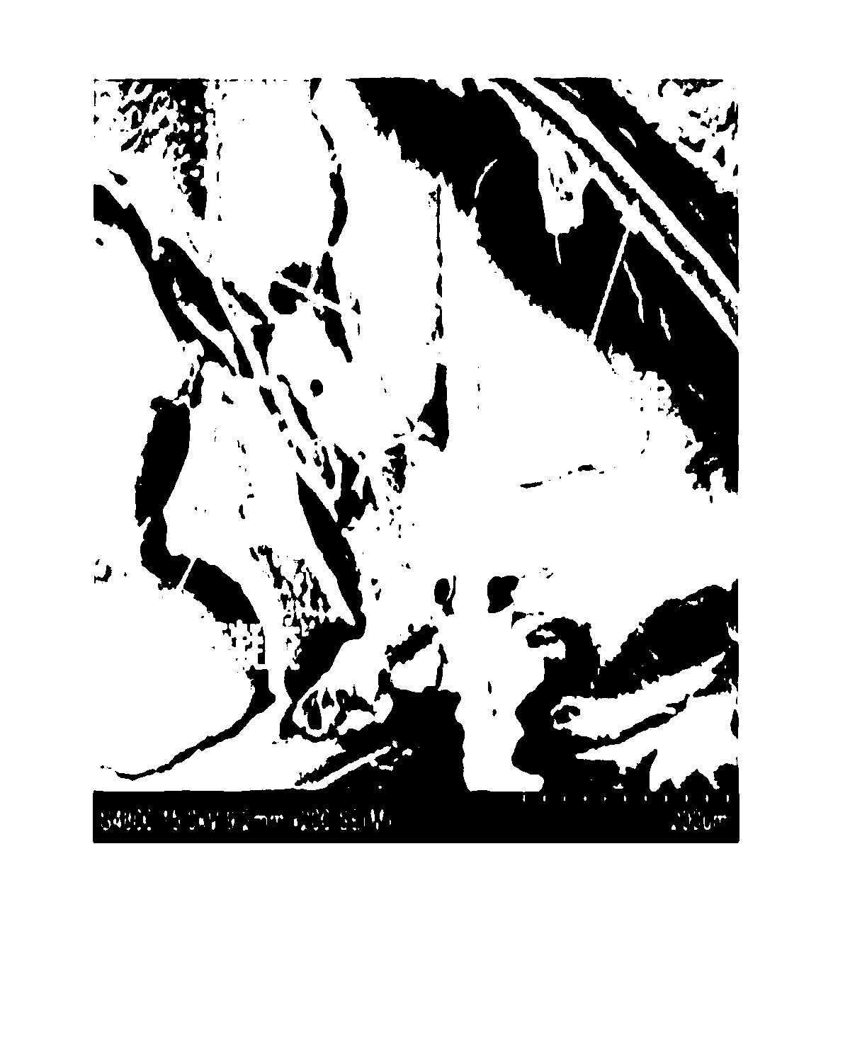 Organic-fiber reinforced organic-aerogel heat-insulating material and preparation method thereof