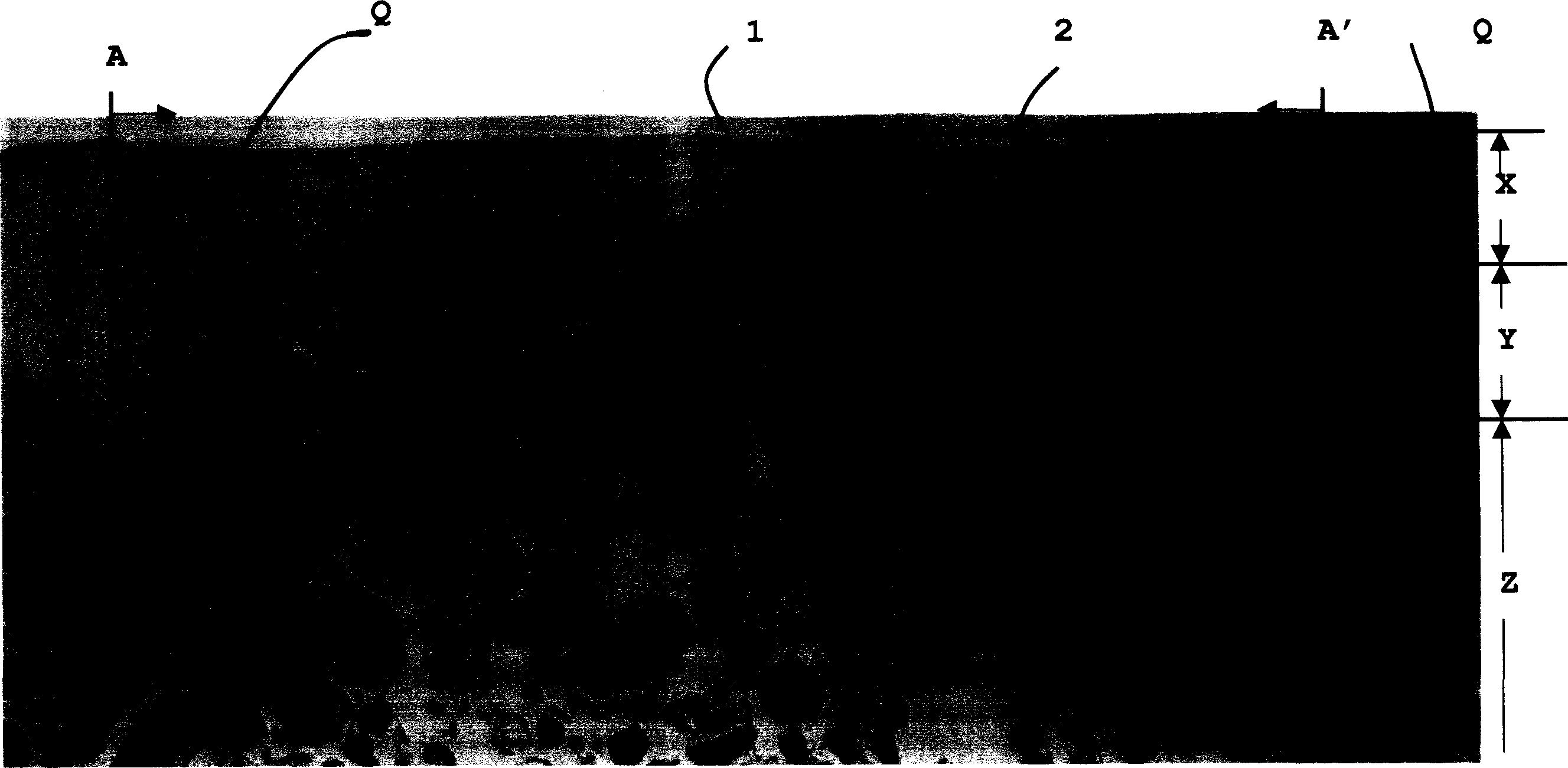 Member for regenerating joint cartilage and process for producing the same, method of regenerating joint cartilage and artificial cartilage for transplantation