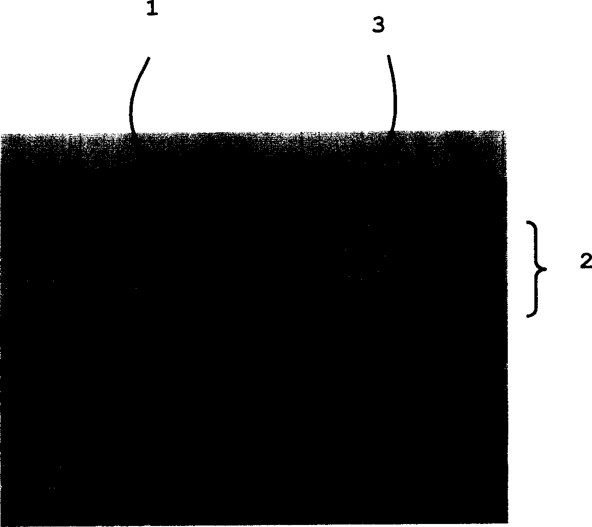 Member for regenerating joint cartilage and process for producing the same, method of regenerating joint cartilage and artificial cartilage for transplantation