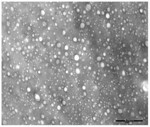 A solution-polymerized styrene-butadiene rubber-polyurethane elastomer material for high-performance tires and its preparation method