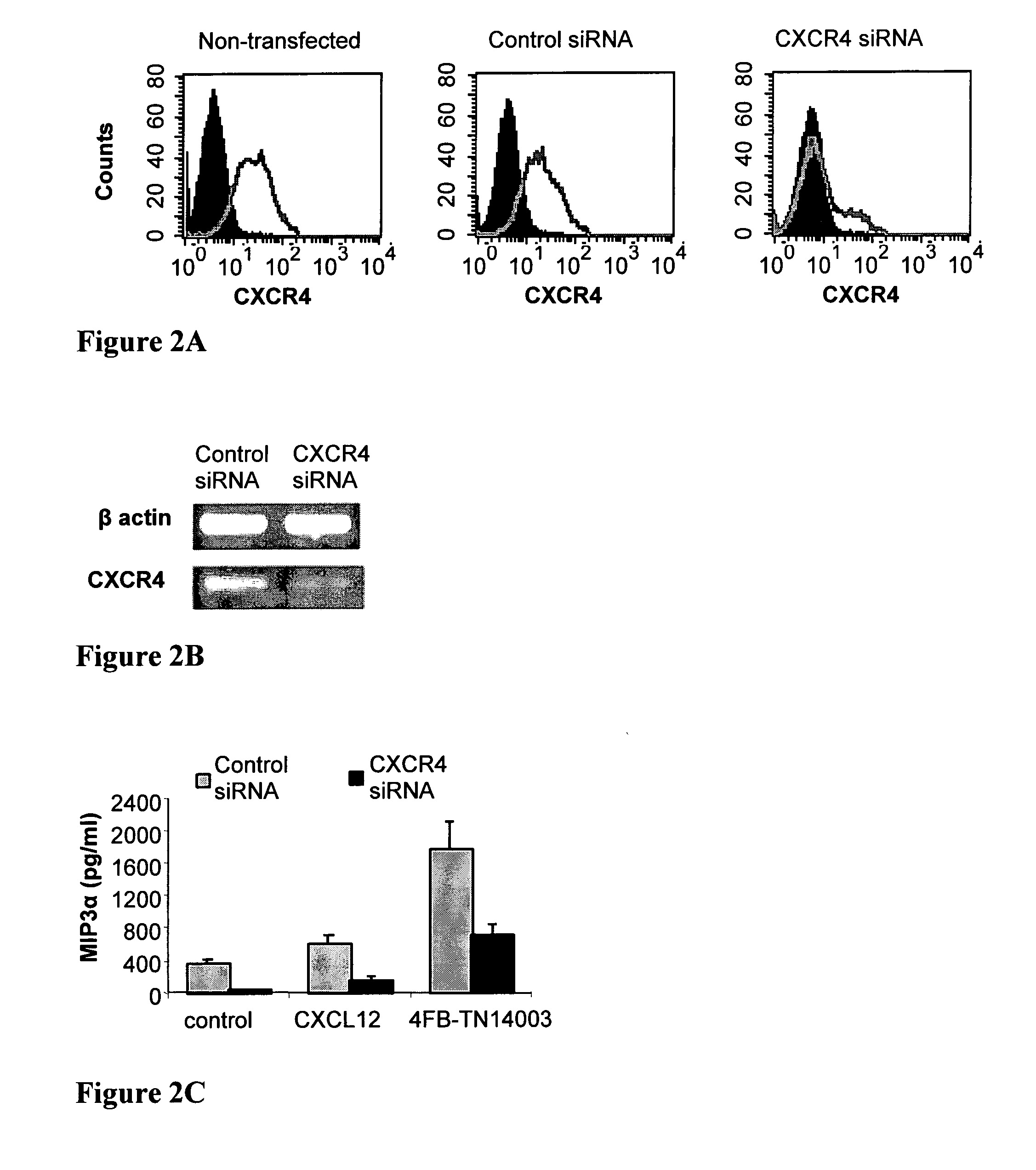 T-140 peptide analogs having cxcr4 super-agonist activity for immunomodulation