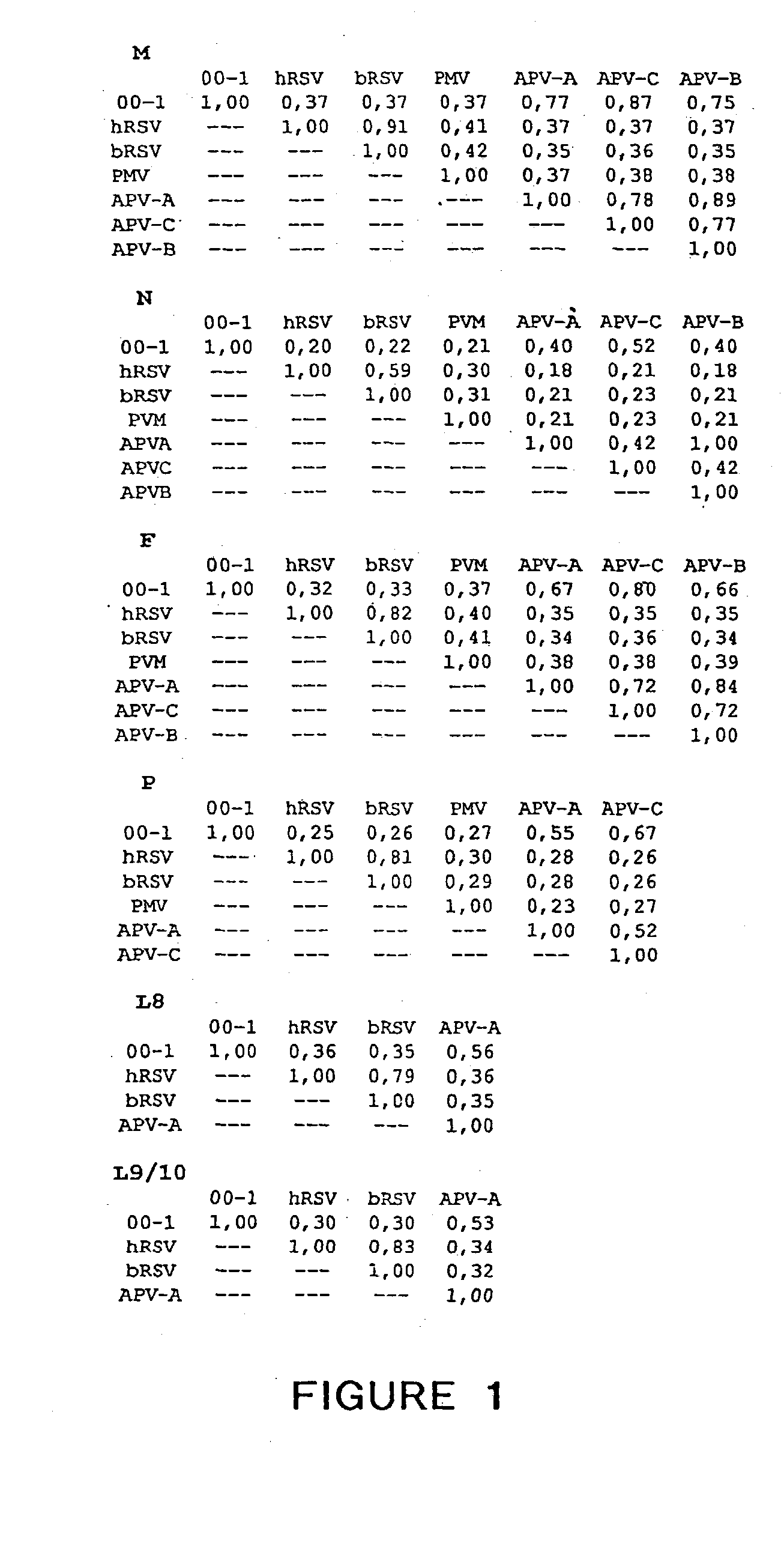 Metapneumovirus strains and their use in vaccine formulations and as vectors for expression of antigenic sequences