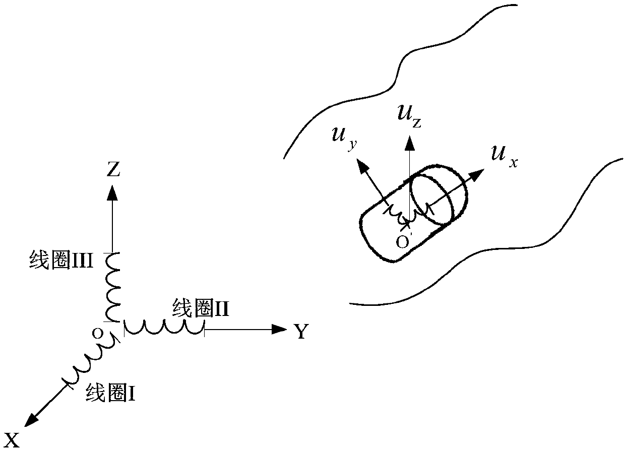 A positioning system and a positioning method for a three-dimensional position and a three-dimensional attitude of a wireless capsule endoscope