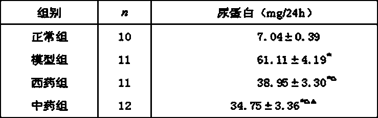 Chinese patent medicine for treating Type II diabetic nephropathy and preparation method thereof