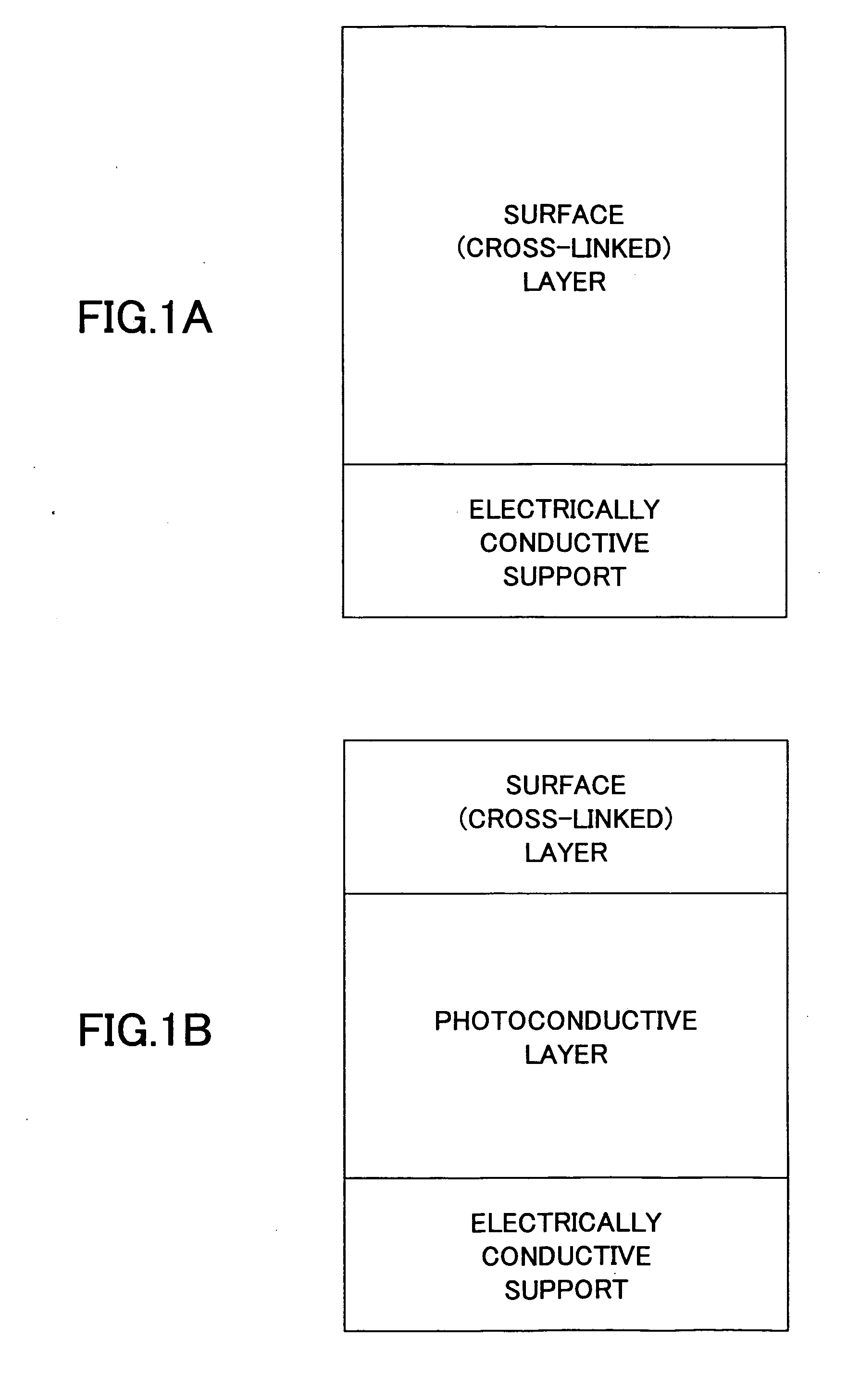 Electrophotographic photoconductor, and image formation method, image formation apparatus, and process cartridge for image formation apparatus using the same