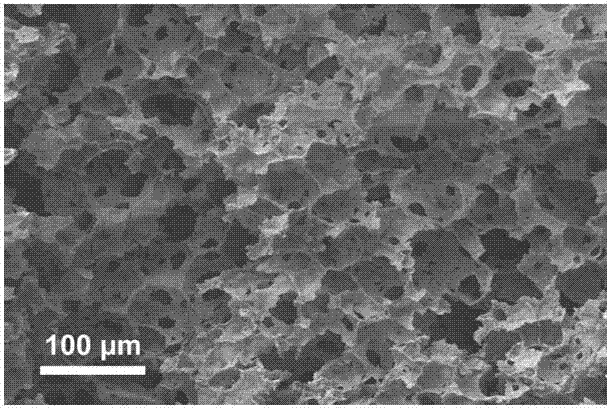 Nano-composite biological scaffold with multi-stage controllable through hole structure, and preparation method and application thereof