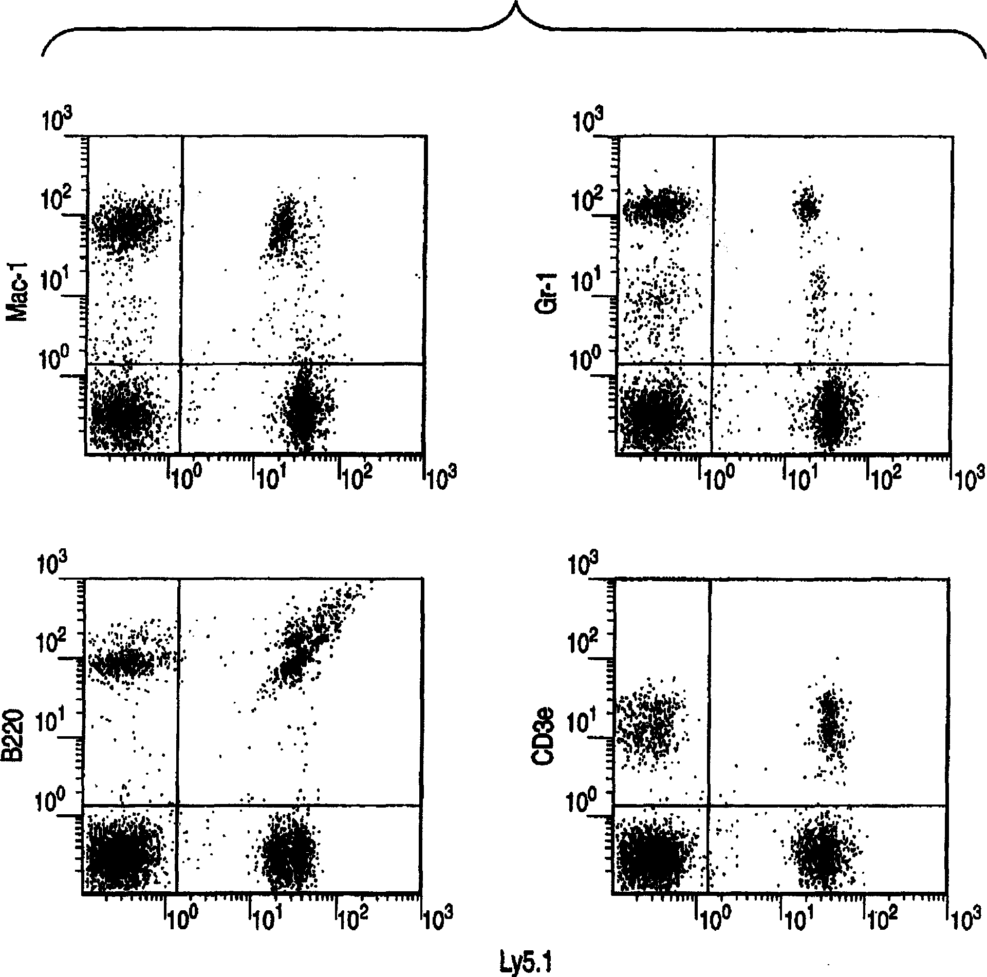 Method for expanding hematopoietic stem cells