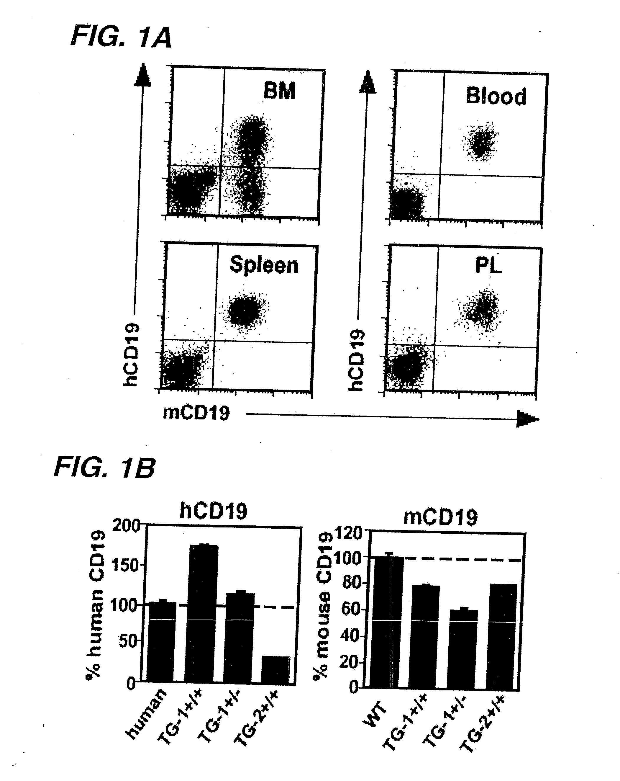 Anti-cd19 antibody therapy for autoimmune disease