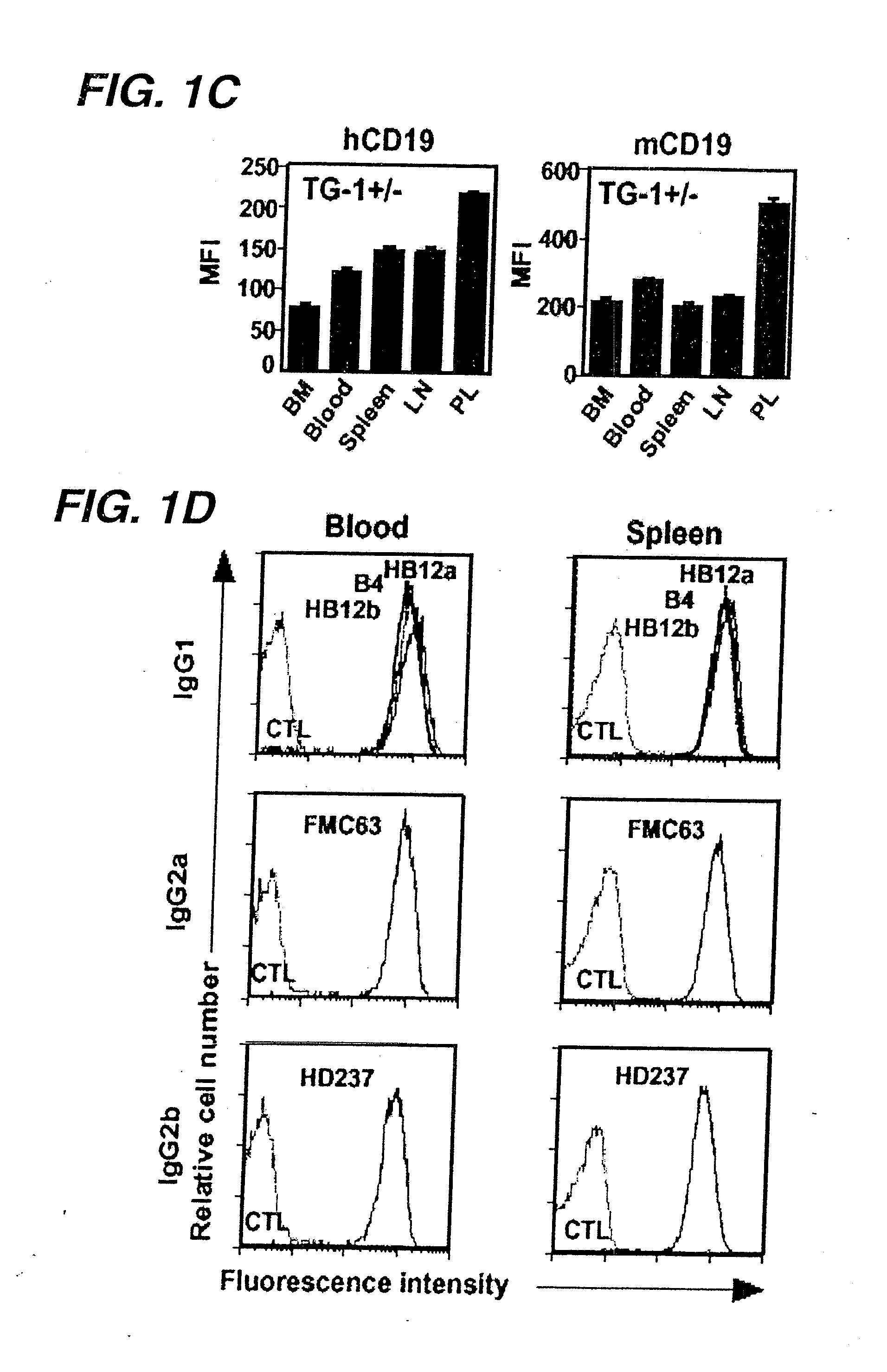 Anti-cd19 antibody therapy for autoimmune disease