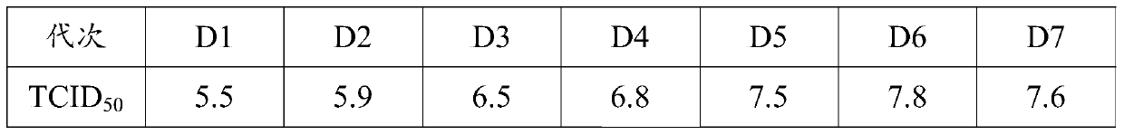 Muscovy duck novel adenovirus strain, bivalent inactivated vaccine and preparation method thereof