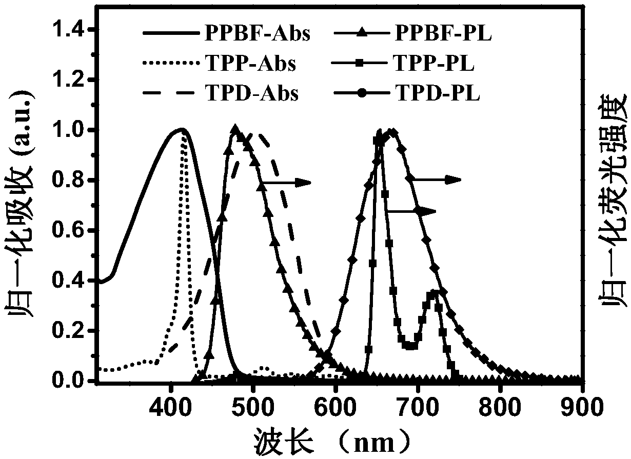 Nano photosensitive material containing conjugated polymer and having two-photon imaging function and photodynamic curative efficacy as well as preparation and application