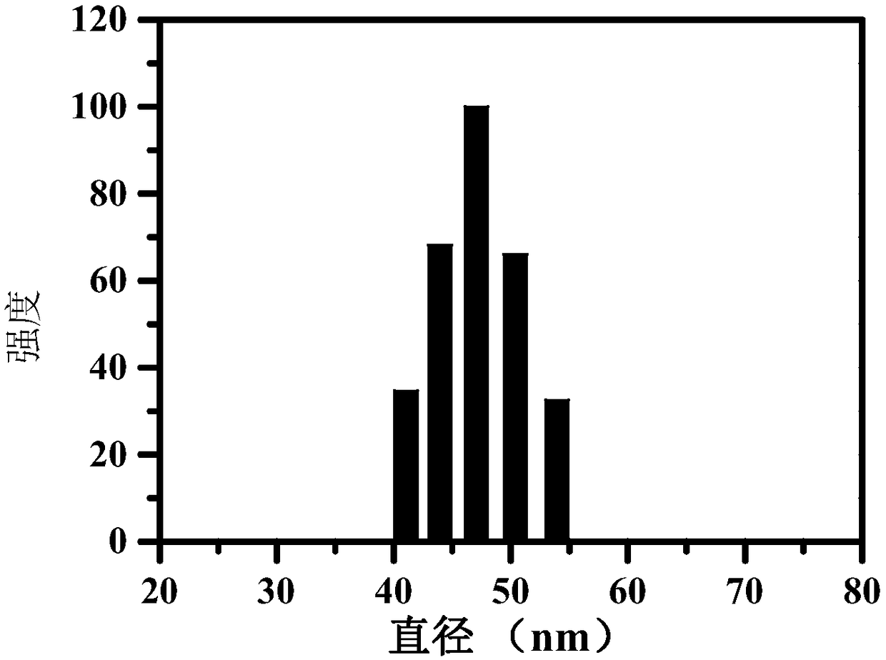 Nano photosensitive material containing conjugated polymer and having two-photon imaging function and photodynamic curative efficacy as well as preparation and application