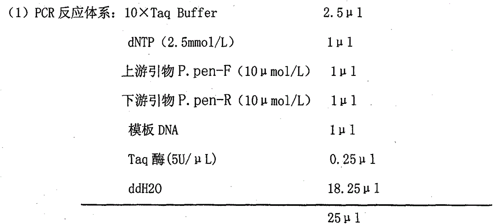 Pratylenchus penetrans detection kit and detection method thereof