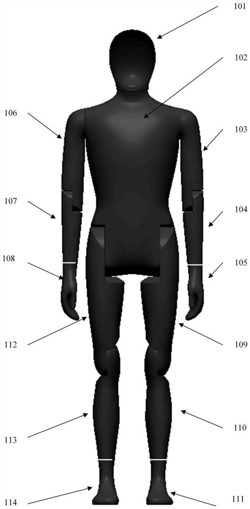 A warm body dummy for environmental thermal comfort experiment