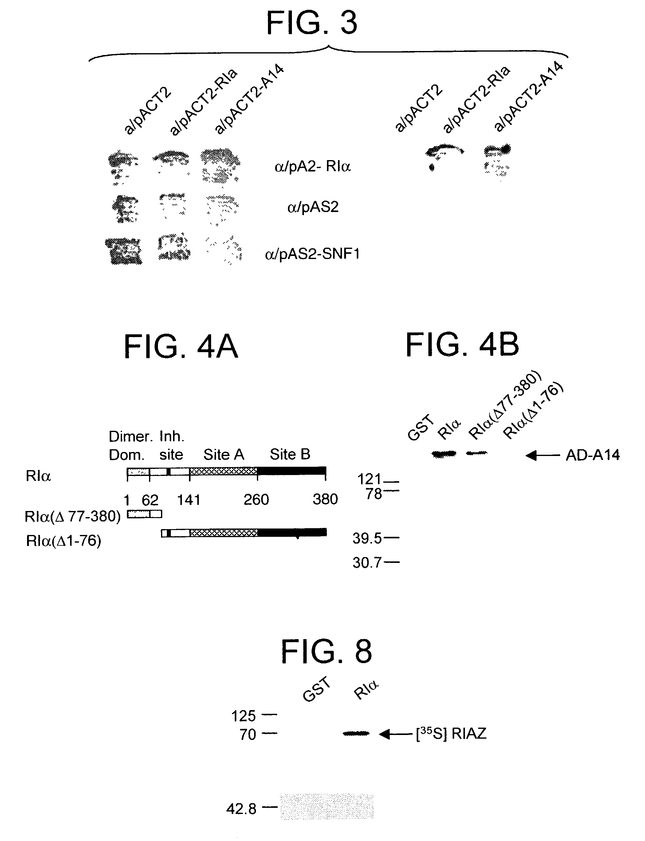 Nucleic acid and protein expression thereby and their involvement in stress